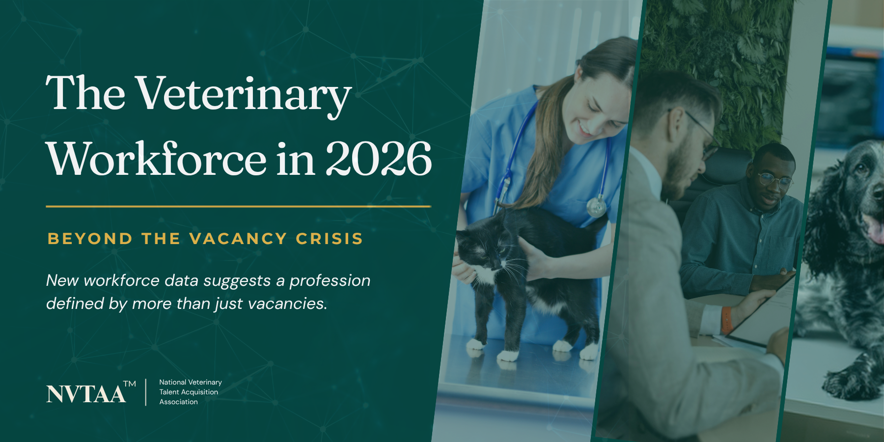 The Veterinary Workforce in 2026